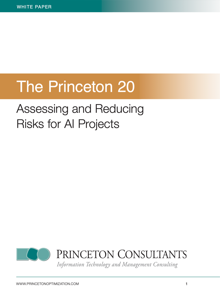 White paper: Assessing and Reducing Risks for AI Projects with The Princeton 20